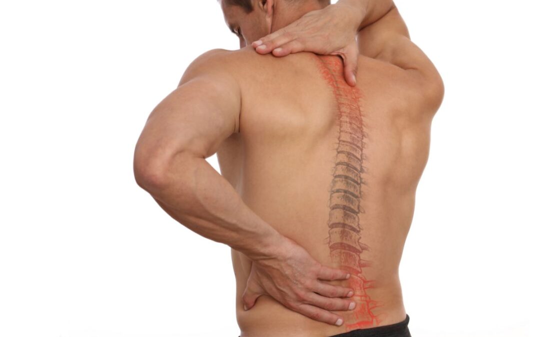 Maintaining Spine Health: Tips for a Strong and Flexible Back